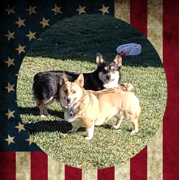 Meet your Posher, Rhonda - Picture 1 of 1